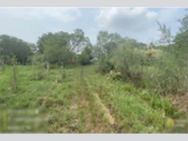 Imagem do imóvel Terreno - Alegrete - RS