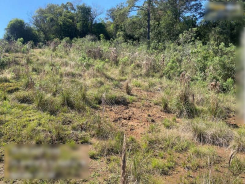 Imagem do imóvel Terreno - Montenegro - RS
