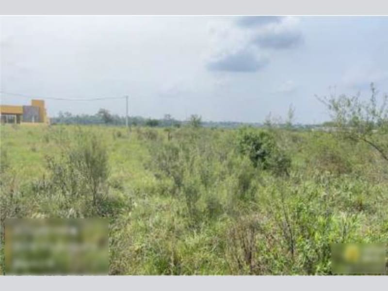 Imagem do imóvel Terreno - Alegrete - RS