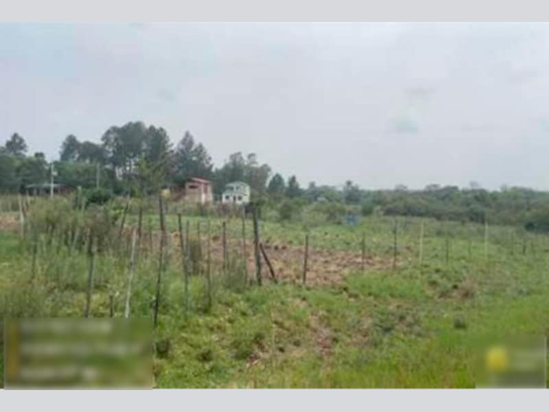 Imagem do imóvel Terreno - Alegrete - RS