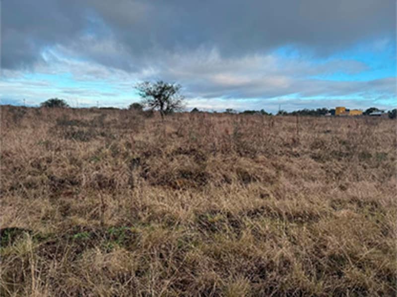 Imagem do imóvel Terreno - Alegrete - RS