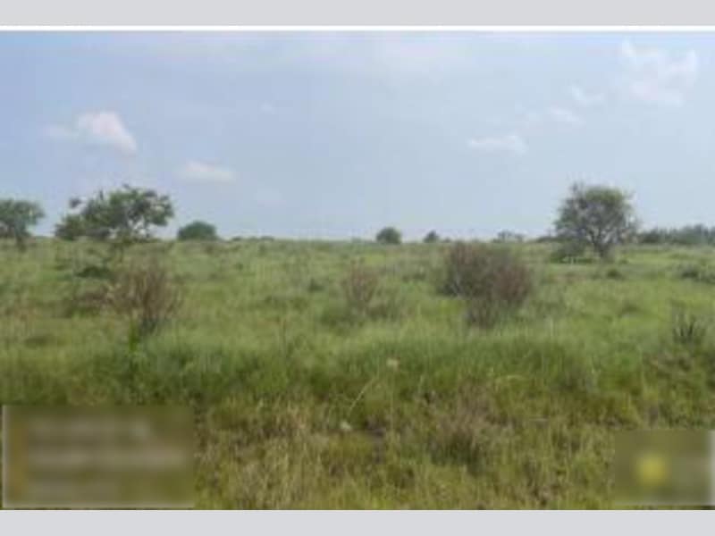 Imagem do imóvel Terreno - Alegrete - RS