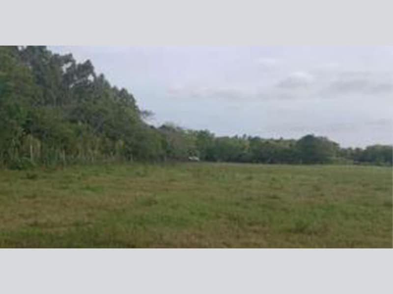 Imagem do imóvel Terreno Santa Cruz do Sul RS