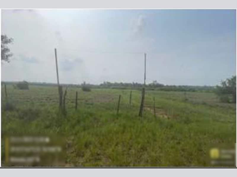 Imagem do imóvel Terreno - Alegrete - RS
