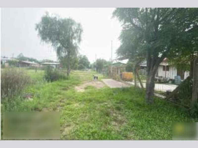 Imagem do imóvel Terreno - Alegrete - RS