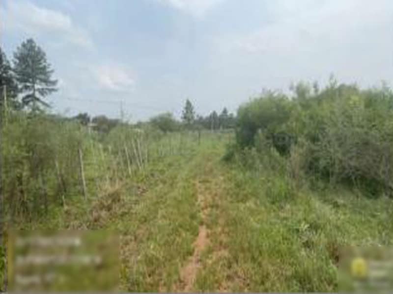 Imagem do imóvel Terreno - Alegrete - RS