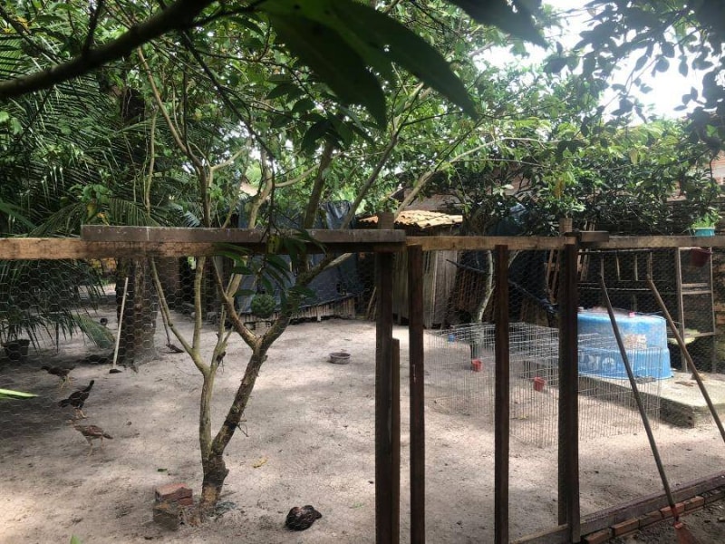 Casa - Maracaçumé - MA, localizado em Maracaçumé - MA, bairro Boa Vista