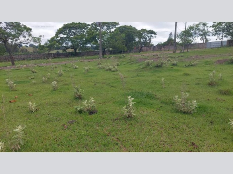 Loteamento - Pérola - PR, localizado em Pérola - PR