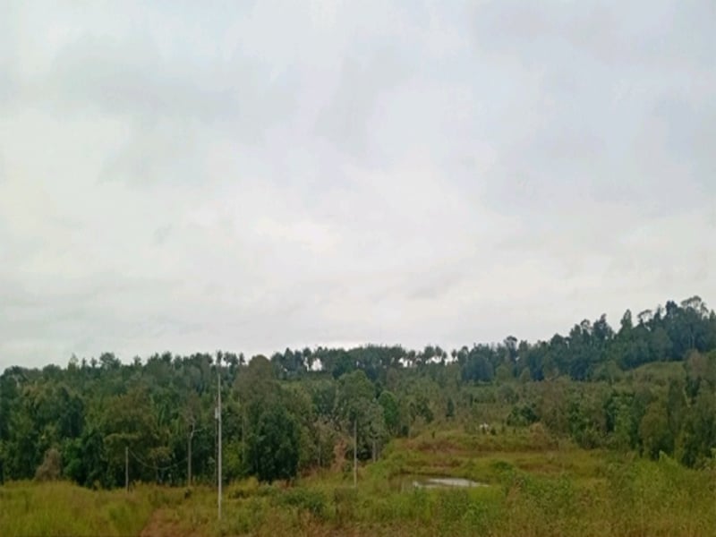 Imagem do imóvel Terreno Espigão D'oeste RO