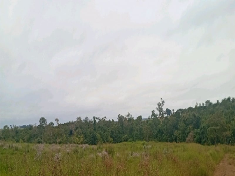 Terreno Espigão D'oeste RO, localizado em Espigão D'oeste - RO