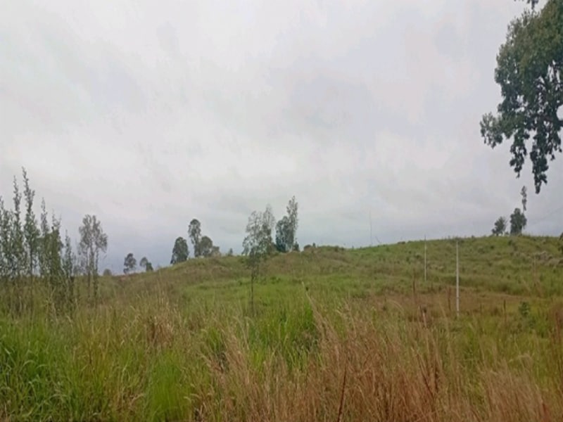 Terreno Espigão D'oeste RO, localizado em Espigão D'oeste - RO