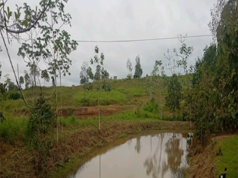 Terreno Espigão D'oeste RO, localizado em Espigão D'oeste - RO