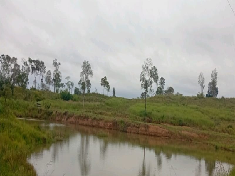 Terreno Espigão D'oeste RO, localizado em Espigão D'oeste - RO
