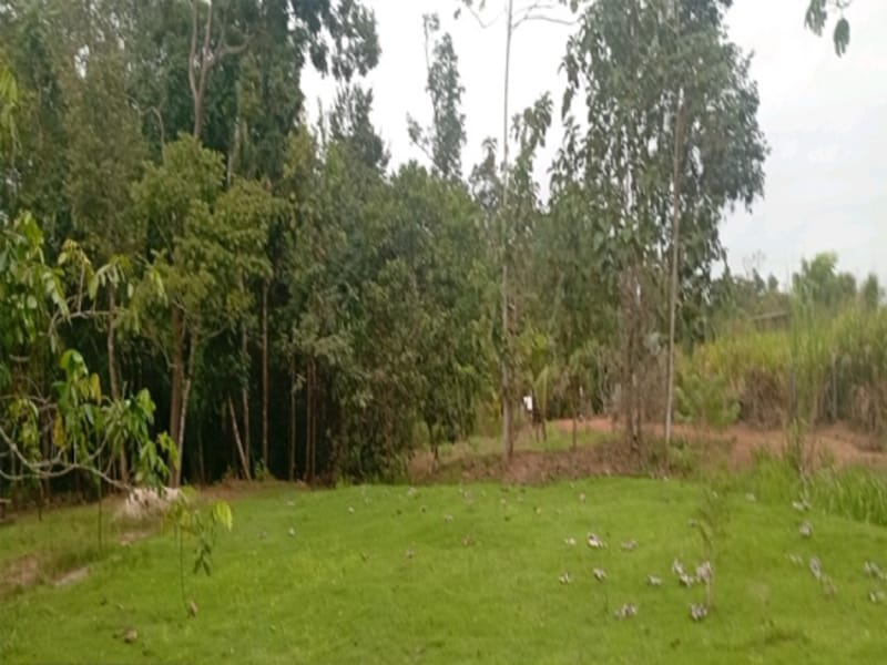 Terreno Espigão D'oeste RO, localizado em Espigão D'oeste - RO