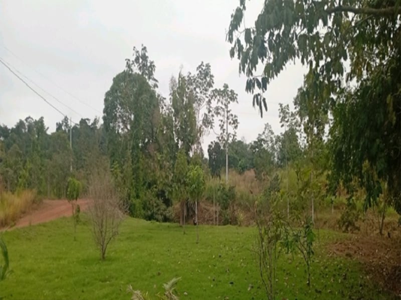 Terreno Espigão D'oeste RO, localizado em Espigão D'oeste - RO