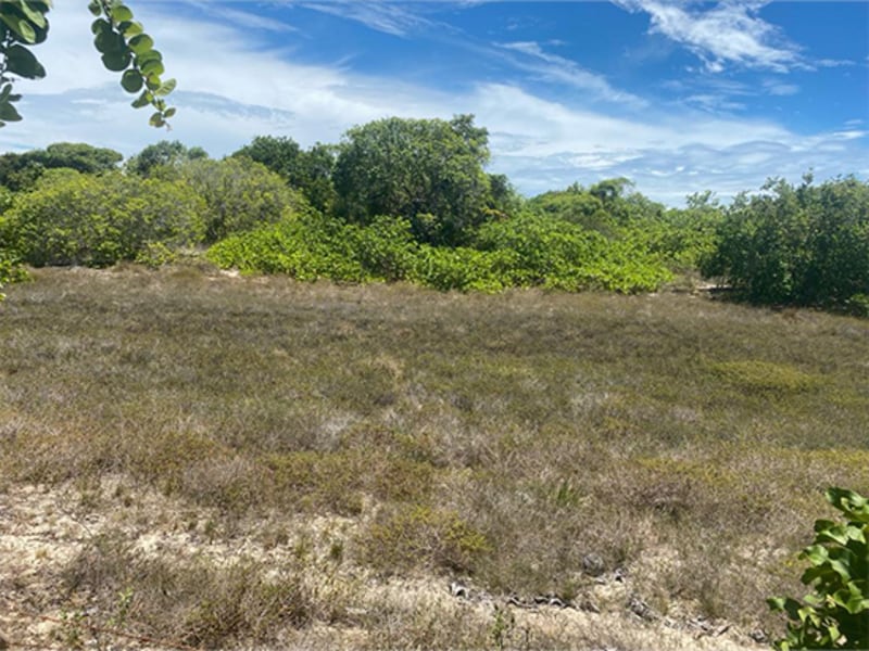 Terreno - Itaporanga D'ajuda - SE, localizado em Itaporanga D'ajuda - SE, bairro Vila Rica do Abais