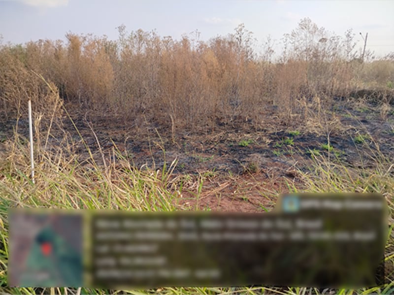 Terreno - Nova Alvorada do Sul - MS, localizado em Nova Alvorada Do Sul - MS
