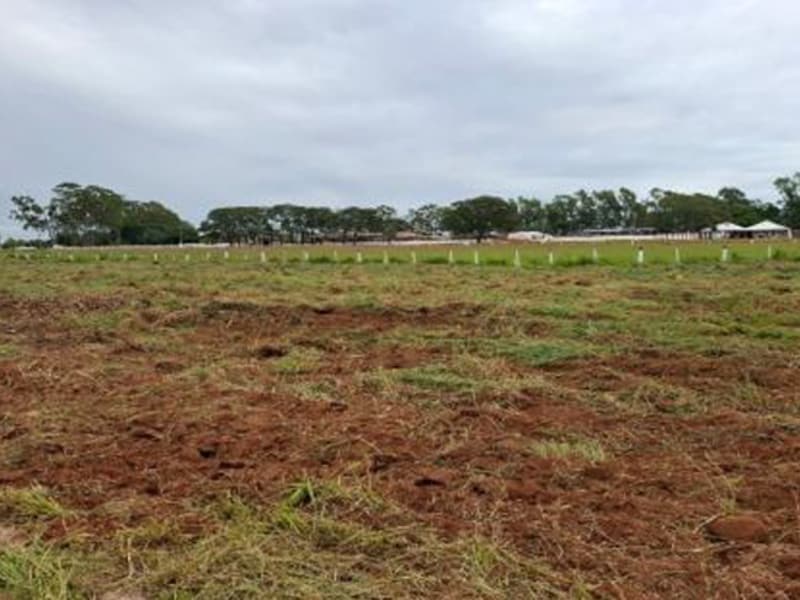 Terreno - Amambaí - MS, localizado em Amambai - MS, bairro Frac da Chácara