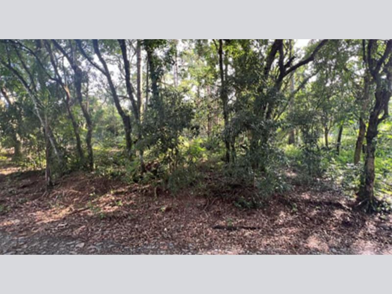 Terreno - Prudentópolis - PR, localizado em Prudentópolis - PR