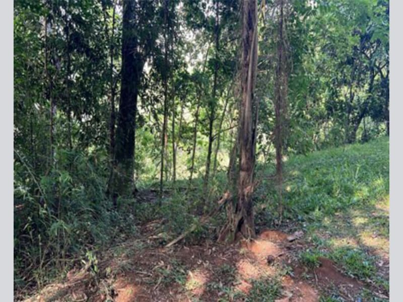 Imagem do imóvel Terreno - Prudentópolis - PR