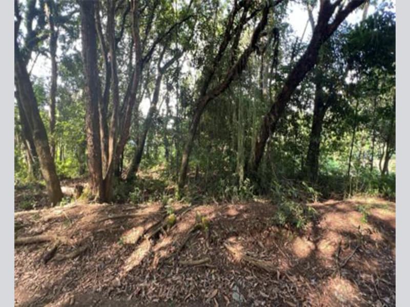 Terreno - Prudentópolis - PR, localizado em Prudentópolis - PR