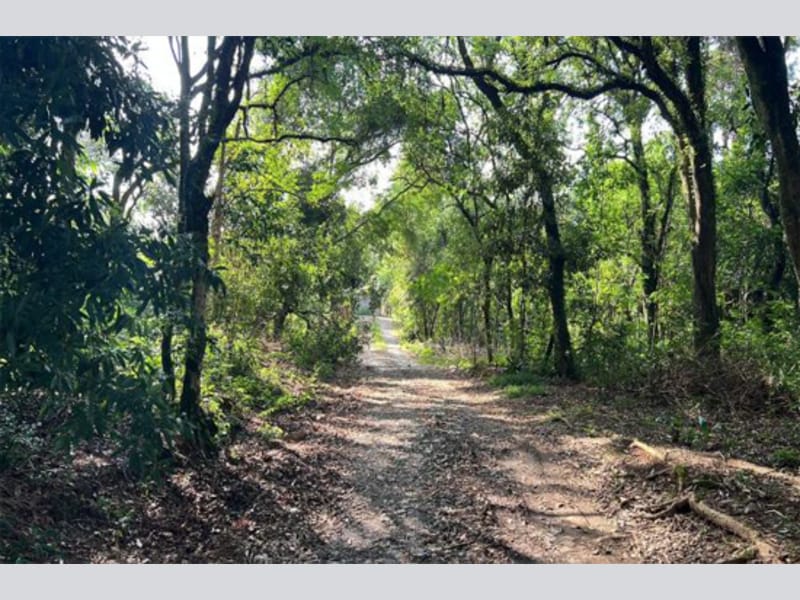 Terreno - Prudentópolis - PR, localizado em Prudentópolis - PR