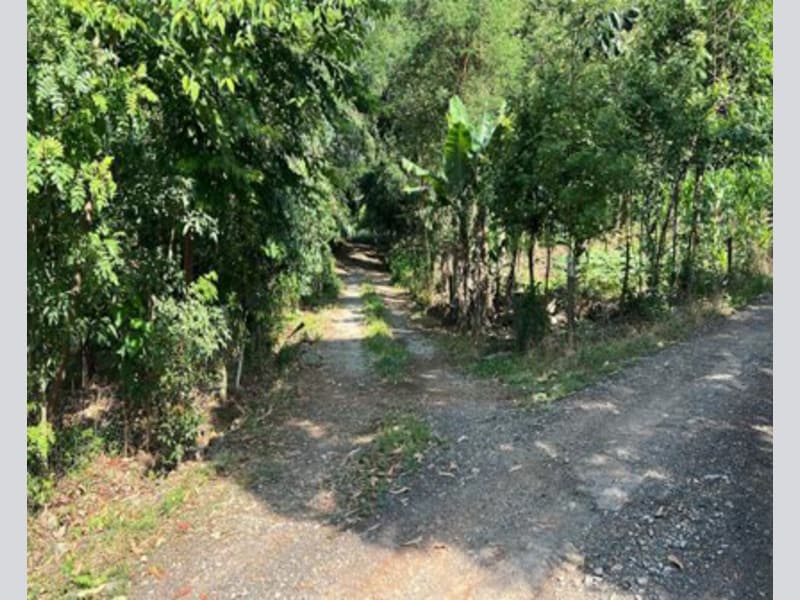Terreno - Prudentópolis - PR, localizado em Prudentópolis - PR