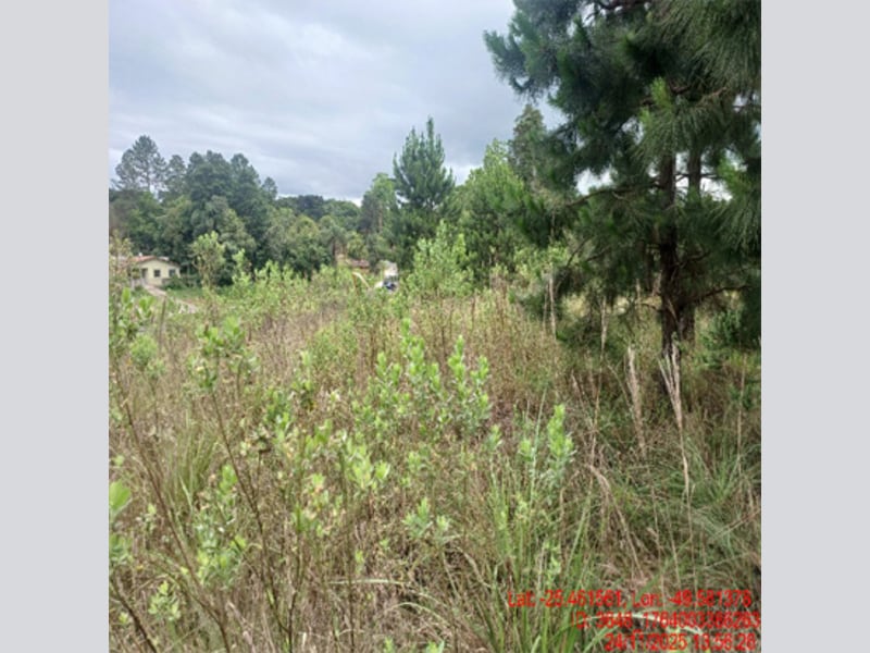 Terreno - Balsa Nova - PR, localizado em Balsa Nova - PR