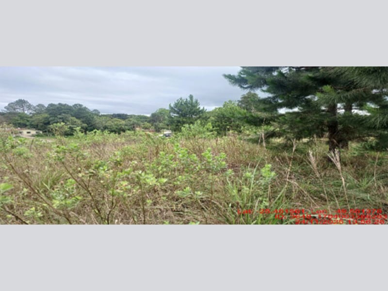 Terreno - Balsa Nova - PR, localizado em Balsa Nova - PR