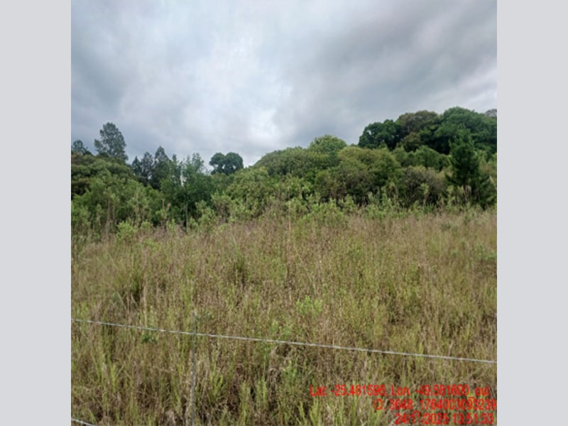 Terreno - Balsa Nova - PR, localizado em Balsa Nova - PR