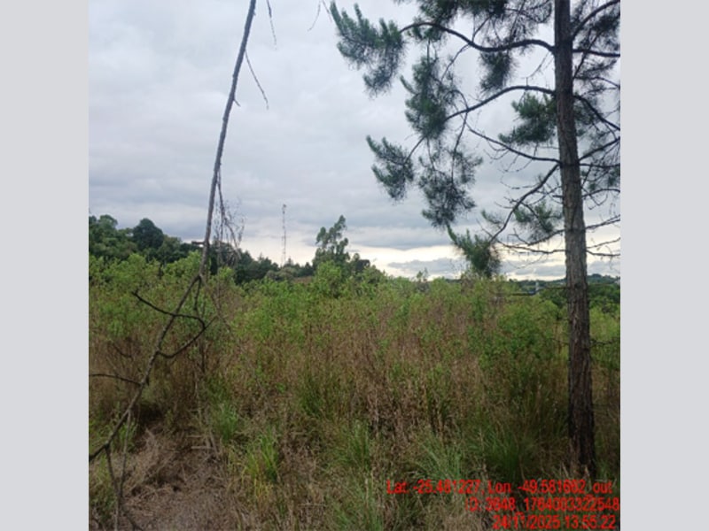 Imagem do imóvel Terreno - Balsa Nova - PR