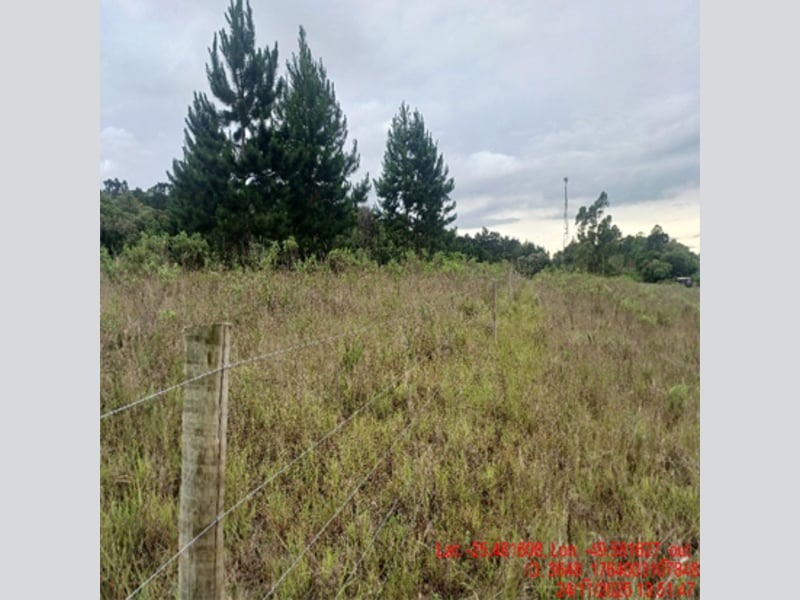 Terreno - Balsa Nova - PR, localizado em Balsa Nova - PR