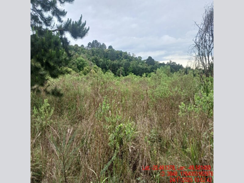 Terreno - Balsa Nova - PR, localizado em Balsa Nova - PR