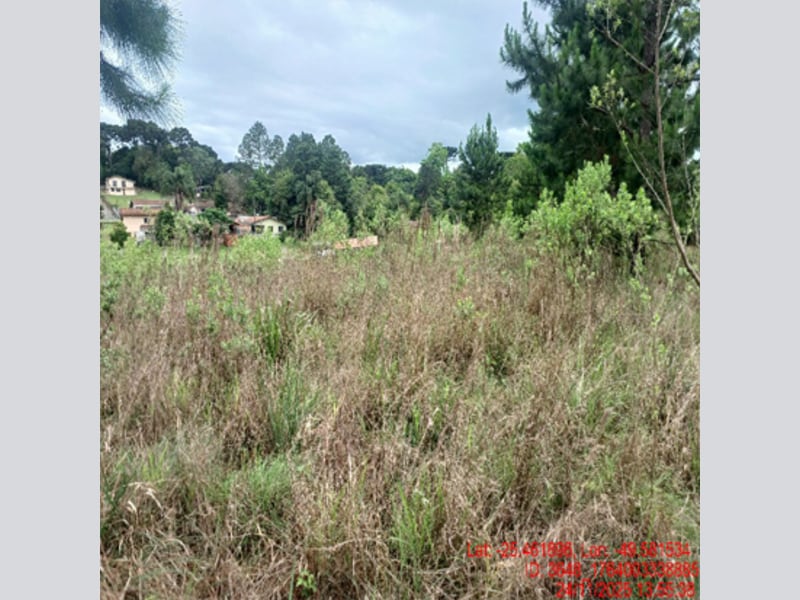 Terreno - Balsa Nova - PR, localizado em Balsa Nova - PR