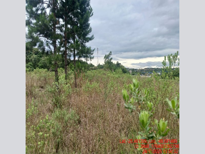 Terreno - Balsa Nova - PR, localizado em Balsa Nova - PR