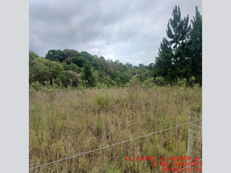 Terreno - Balsa Nova - PR, localizado em Balsa Nova - PR