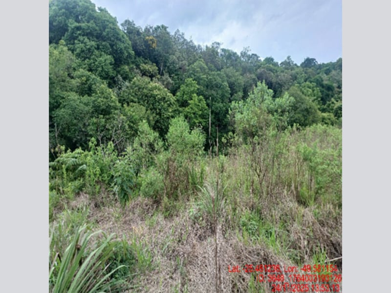 Terreno - Balsa Nova - PR, localizado em Balsa Nova - PR