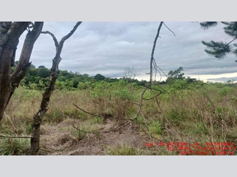 Terreno - Balsa Nova - PR, localizado em Balsa Nova - PR