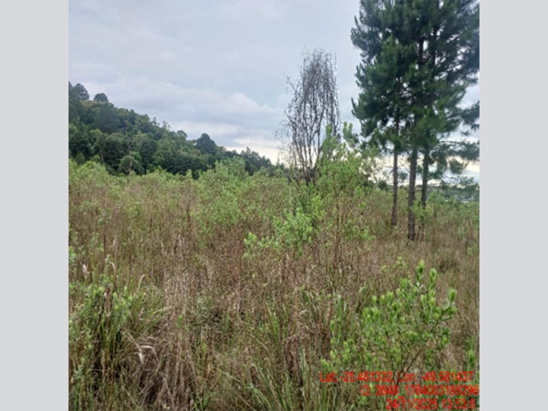 Terreno - Balsa Nova - PR, localizado em Balsa Nova - PR