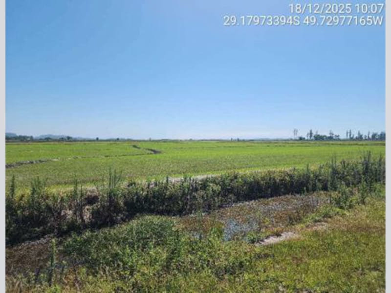 Terreno - São João do Sul - SC, localizado em São João Do Sul - SC, bairro Vila Conceição