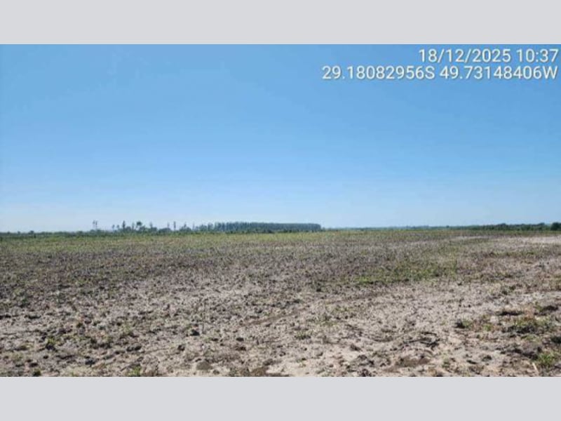 Terreno - São João do Sul - SC, localizado em São João Do Sul - SC, bairro Vila Conceição