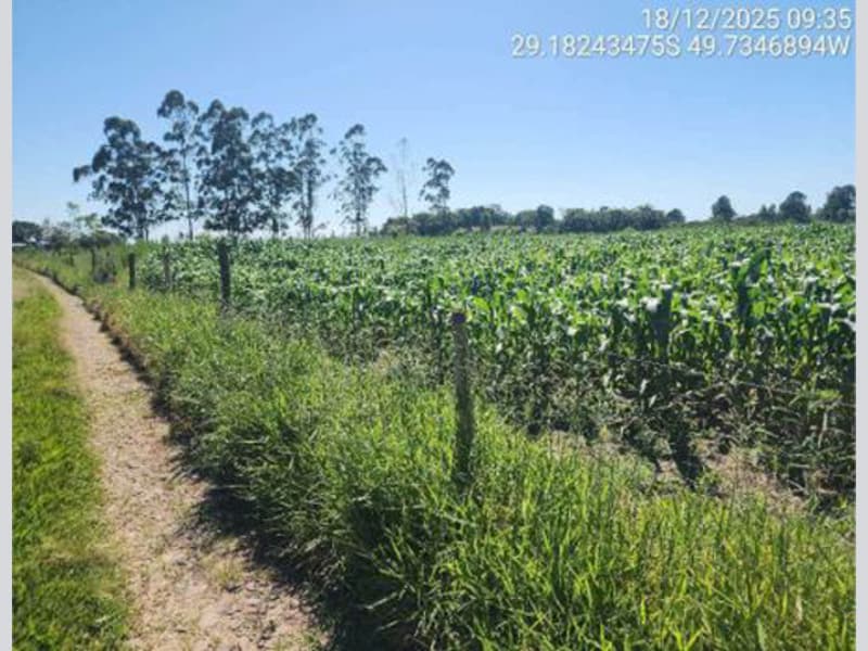 Imagem do imóvel Terreno - São João do Sul - SC