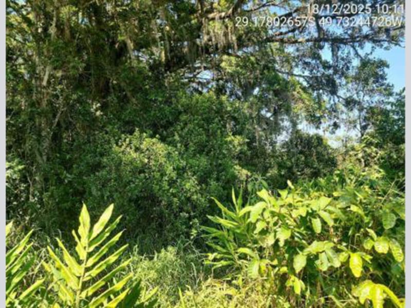 Terreno - São João do Sul - SC, localizado em São João Do Sul - SC, bairro Vila Conceição