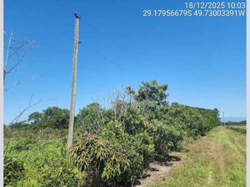 Terreno - São João do Sul - SC, localizado em São João Do Sul - SC, bairro Vila Conceição
