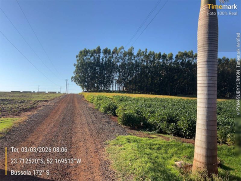 Terreno - Engenheiro Beltrão - PR, localizado em Engenheiro Beltrão - PR