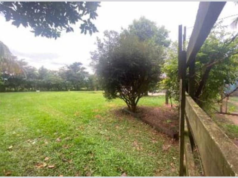 Casa - Promissão - SP, localizado em Promissão - SP