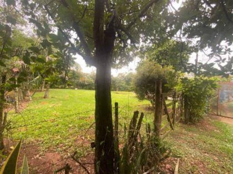 Casa - Promissão - SP, localizado em Promissão - SP