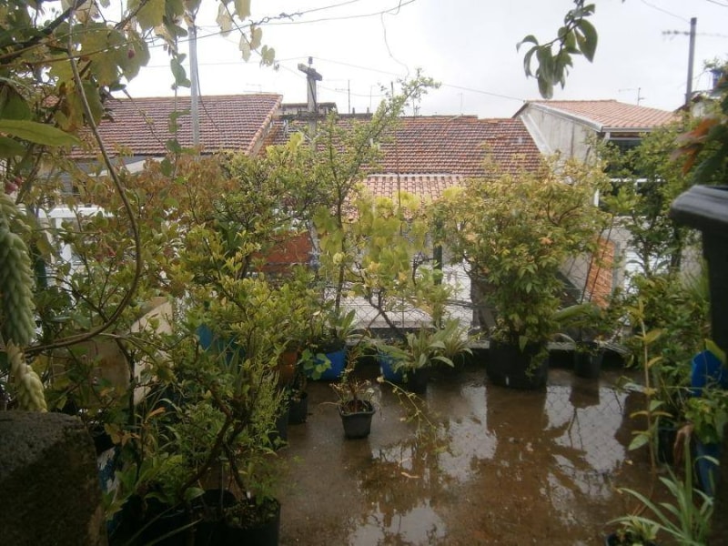 Casa - São Paulo - SP, localizado em São Paulo - SP, bairro Jardim Maria Virginia