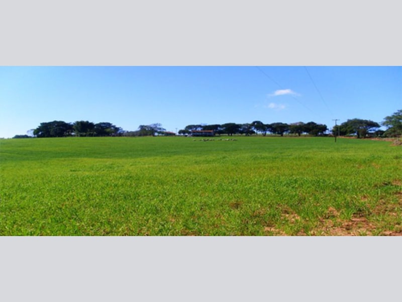 Imagem do imóvel Terreno - Wenceslau Braz - PR