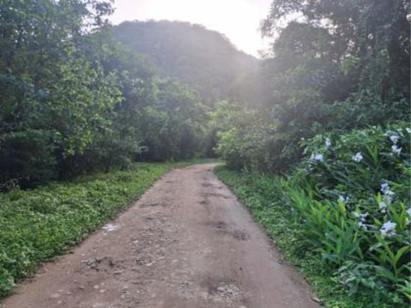 Terreno - Caraguatatuba - SP, localizado em Caraguatatuba - SP, bairro Massaguacu